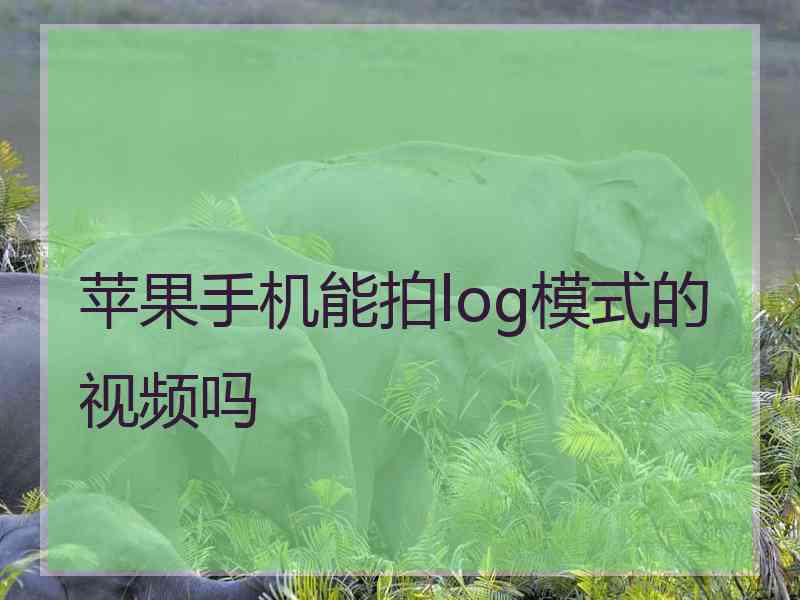 苹果手机能拍log模式的视频吗