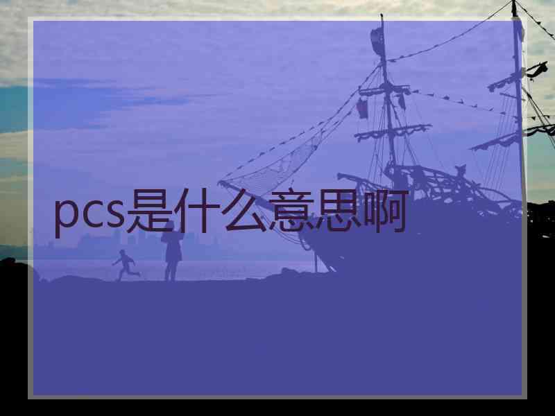 pcs是什么意思啊