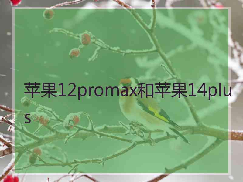 苹果12promax和苹果14plus