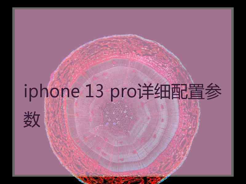 iphone 13 pro详细配置参数