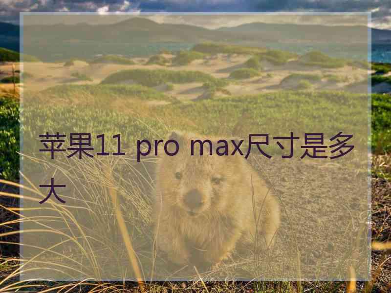 苹果11 pro max尺寸是多大