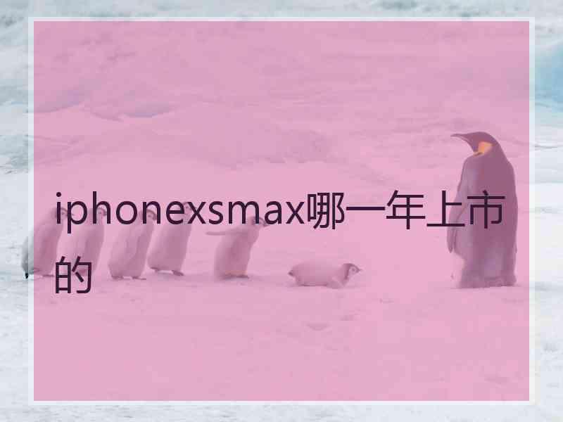 iphonexsmax哪一年上市的