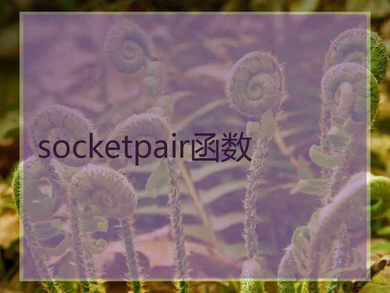 socketpair函数