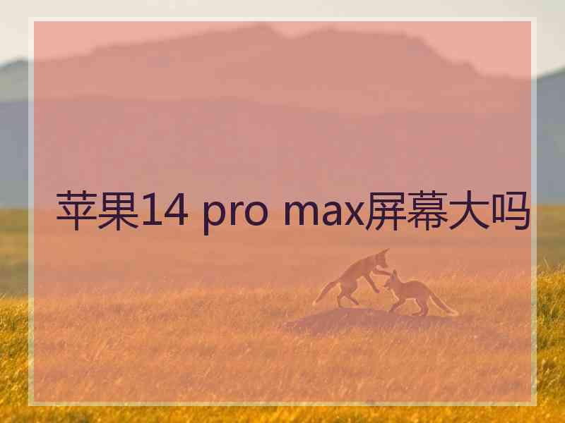 苹果14 pro max屏幕大吗