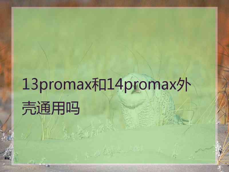 13promax和14promax外壳通用吗