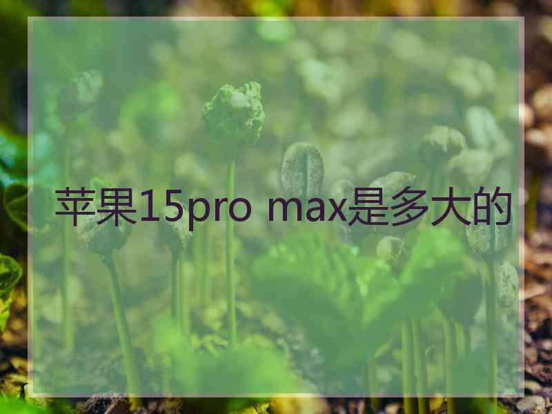 苹果15pro max是多大的