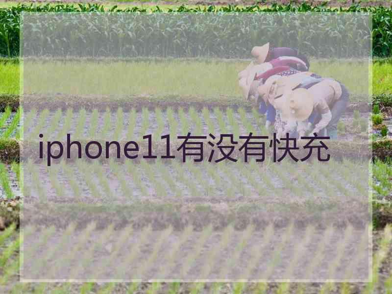 iphone11有没有快充