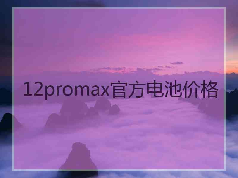 12promax官方电池价格