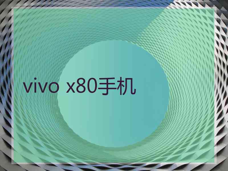 vivo x80手机