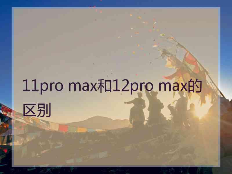 11pro max和12pro max的区别