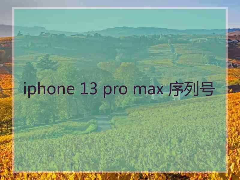 iphone 13 pro max 序列号