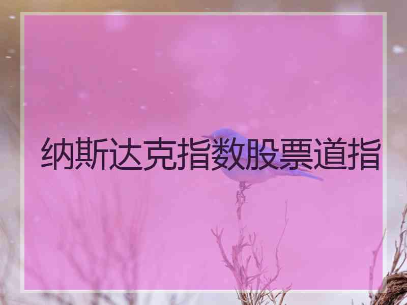 纳斯达克指数股票道指