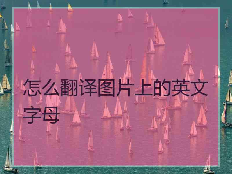 怎么翻译图片上的英文字母