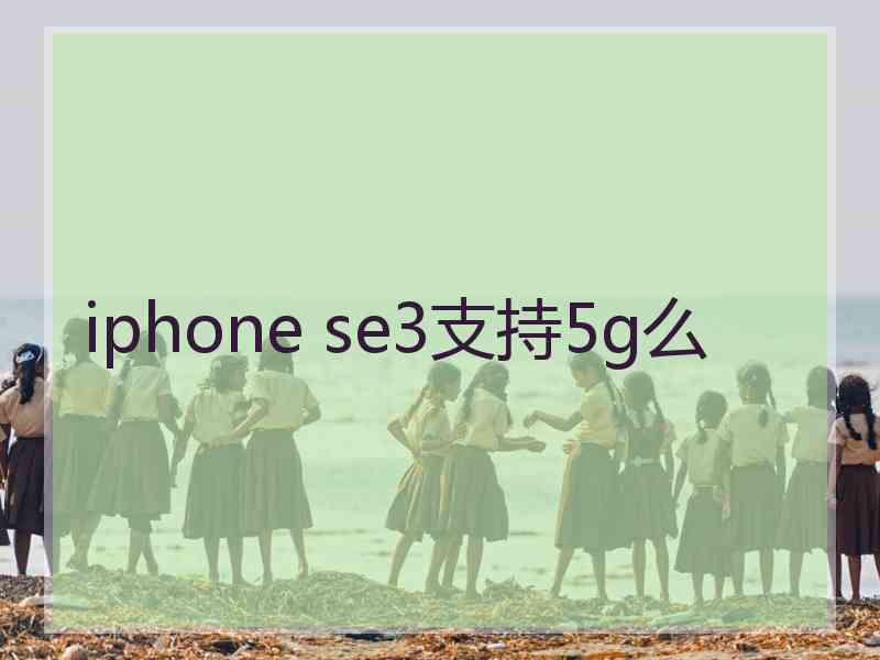 iphone se3支持5g么