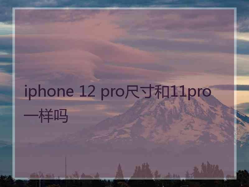 iphone 12 pro尺寸和11pro一样吗