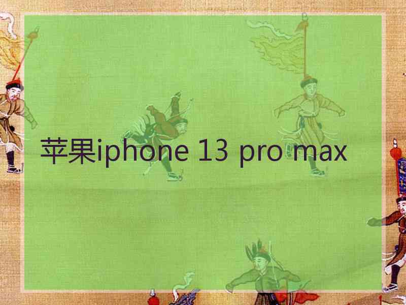 苹果iphone 13 pro max