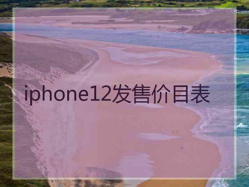 iphone12发售价目表