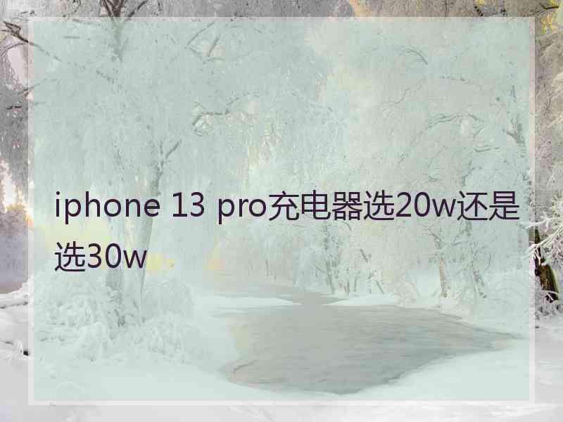 iphone 13 pro充电器选20w还是选30w