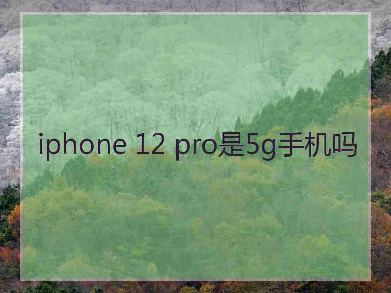 iphone 12 pro是5g手机吗