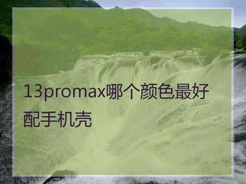 13promax哪个颜色最好配手机壳