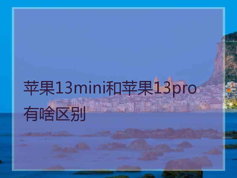 苹果13mini和苹果13pro有啥区别