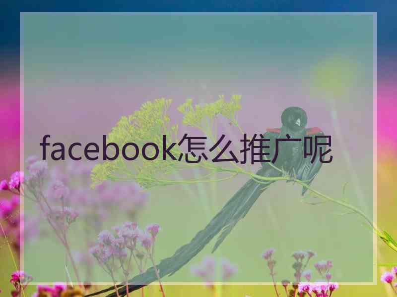 facebook怎么推广呢