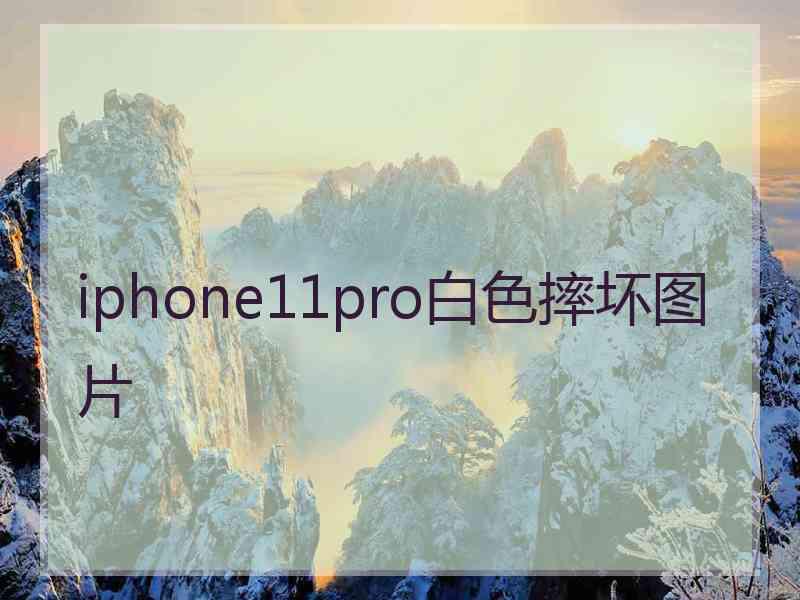 iphone11pro白色摔坏图片