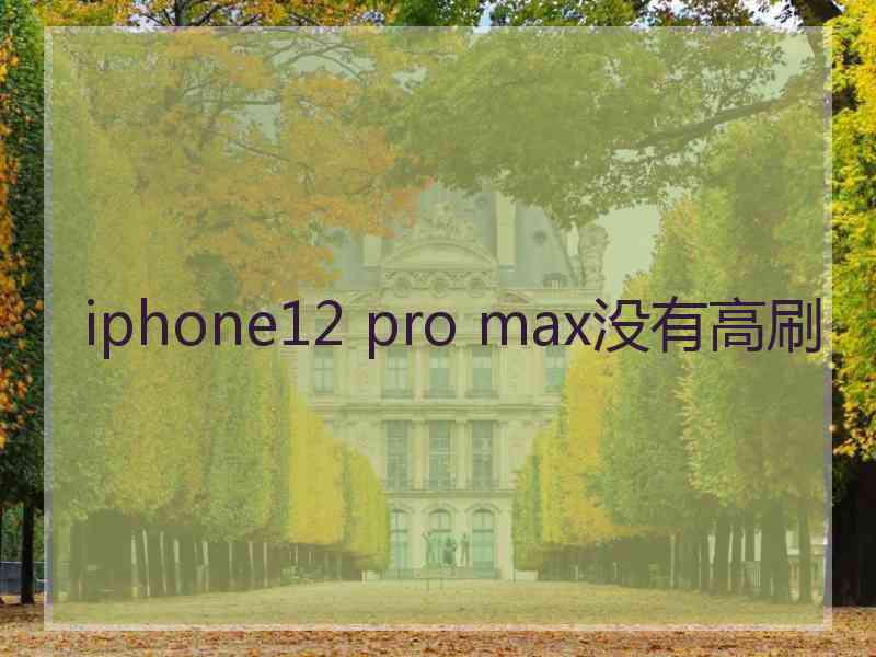 iphone12 pro max没有高刷