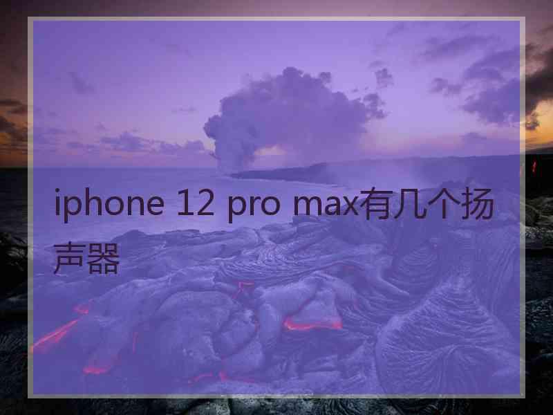 iphone 12 pro max有几个扬声器