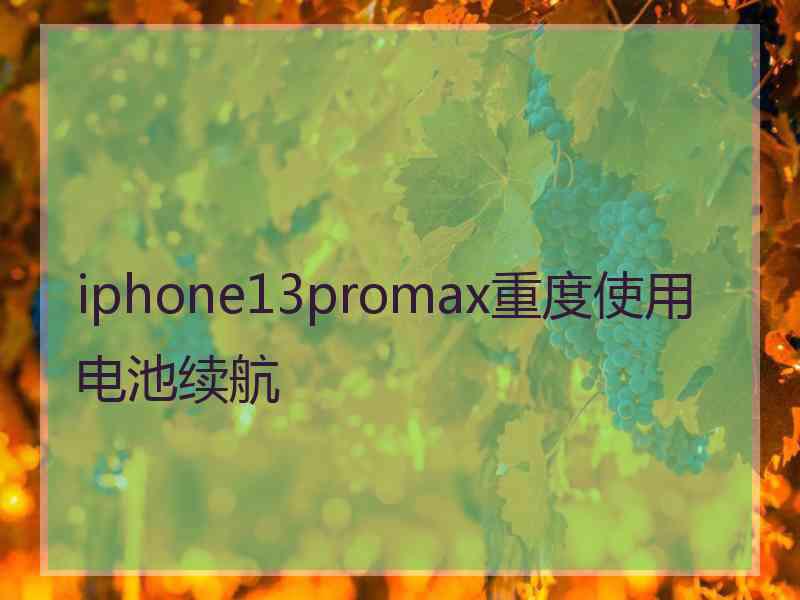 iphone13promax重度使用电池续航