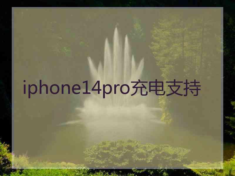 iphone14pro充电支持