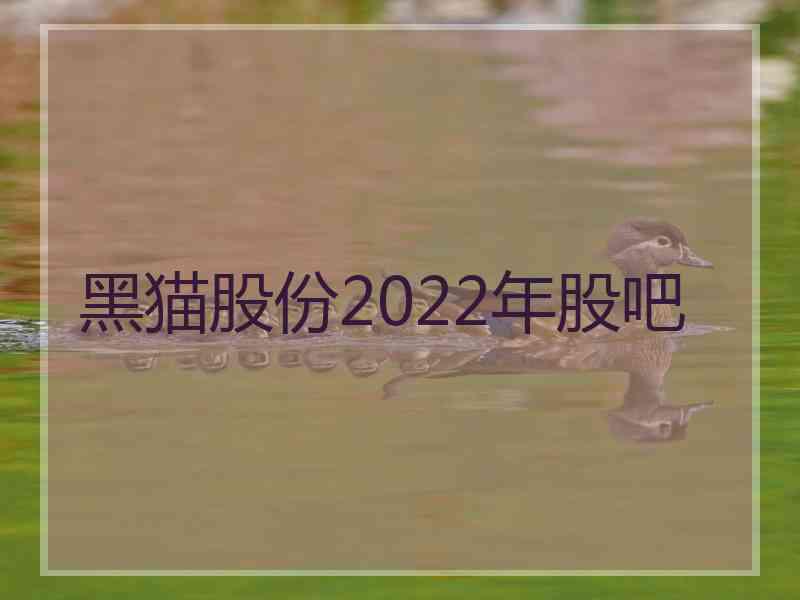 黑猫股份2022年股吧