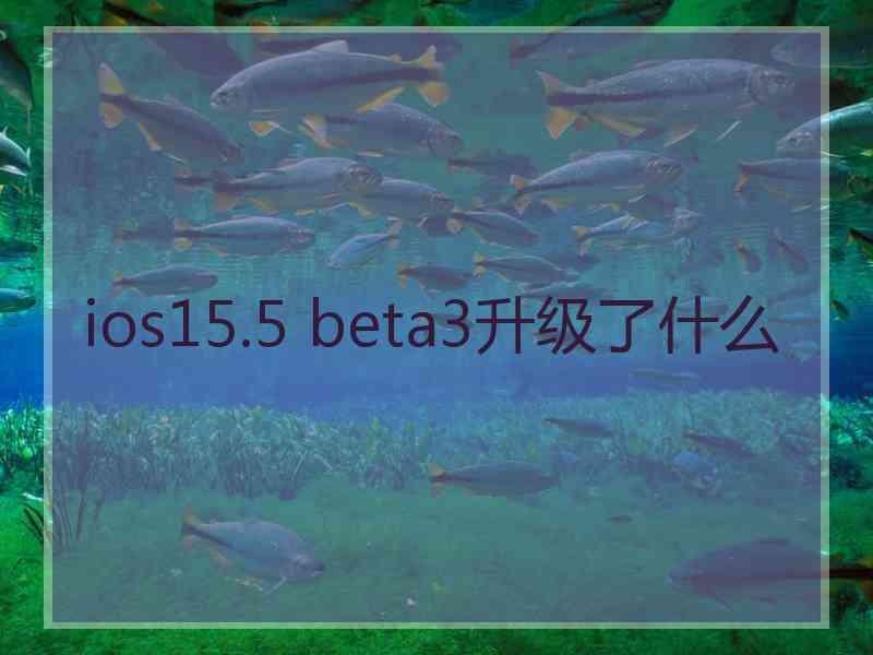 ios15.5 beta3升级了什么