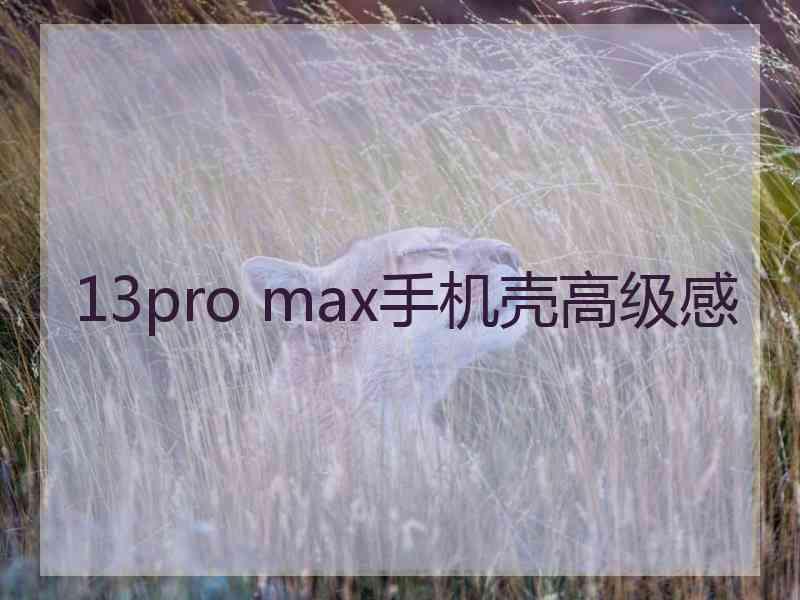 13pro max手机壳高级感