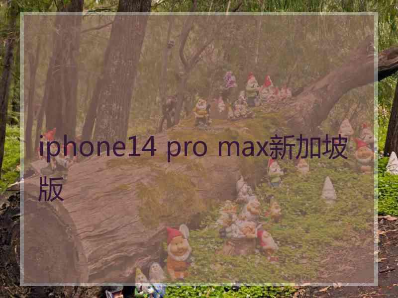 iphone14 pro max新加坡版