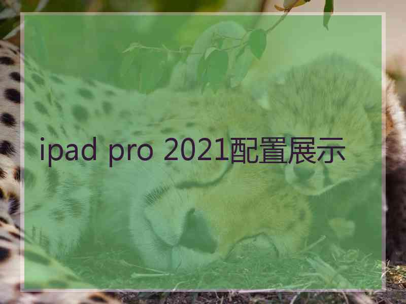 ipad pro 2021配置展示