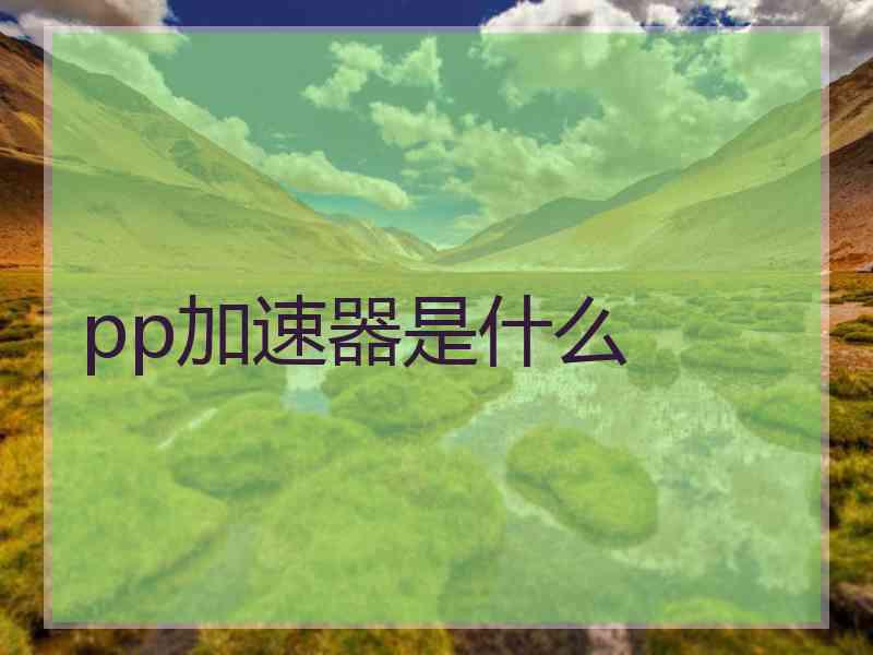 pp加速器是什么