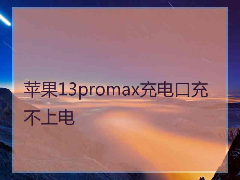 苹果13promax充电口充不上电