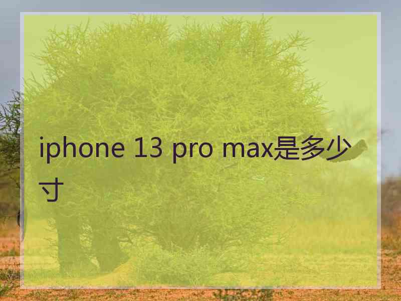 iphone 13 pro max是多少寸