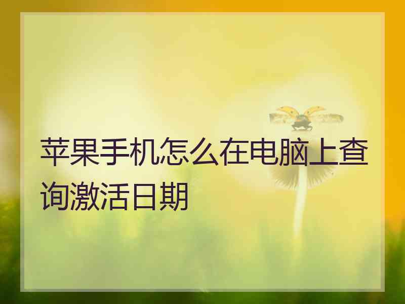 苹果手机怎么在电脑上查询激活日期