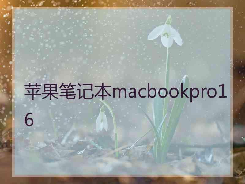 苹果笔记本macbookpro16