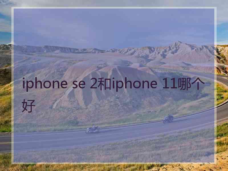 iphone se 2和iphone 11哪个好