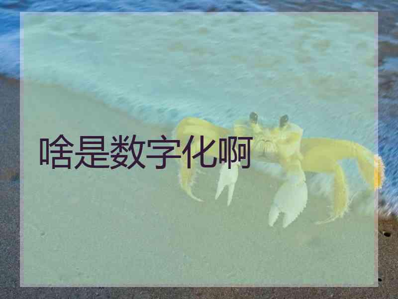 啥是数字化啊