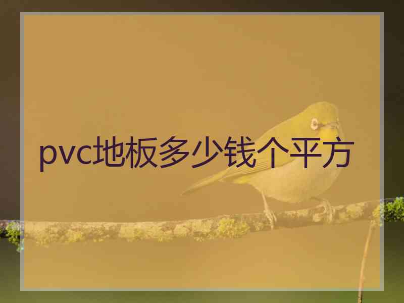 pvc地板多少钱个平方