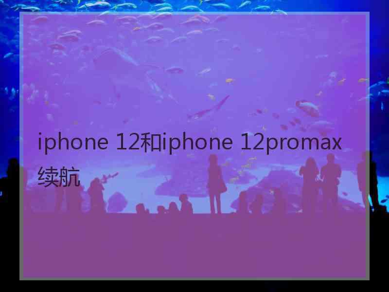 iphone 12和iphone 12promax续航