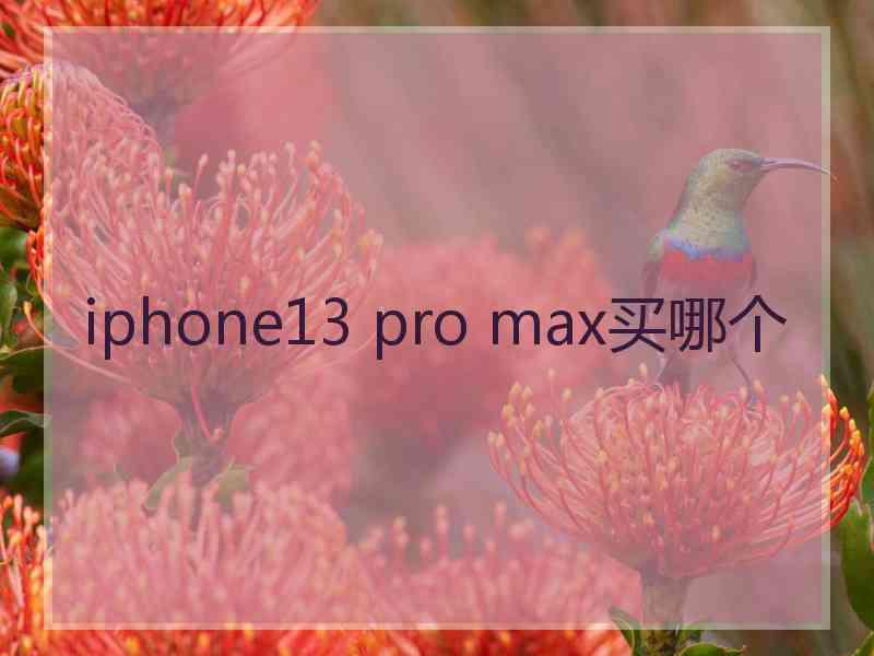 iphone13 pro max买哪个