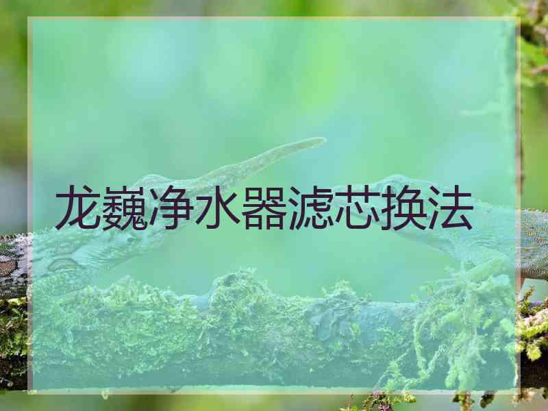 龙巍净水器滤芯换法