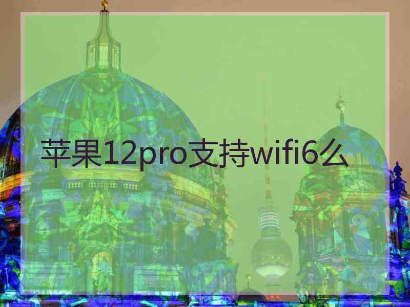 苹果12pro支持wifi6么