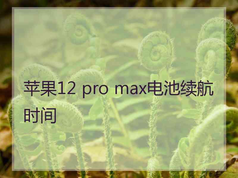 苹果12 pro max电池续航时间