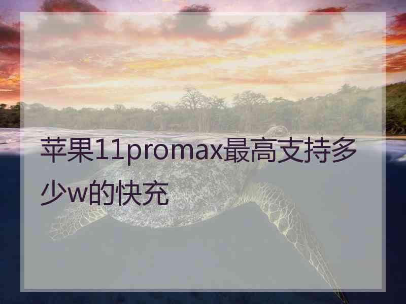 苹果11promax最高支持多少w的快充